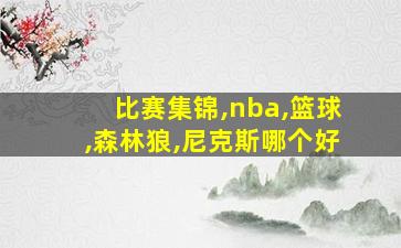 比赛集锦,nba,篮球,森林狼,尼克斯哪个好