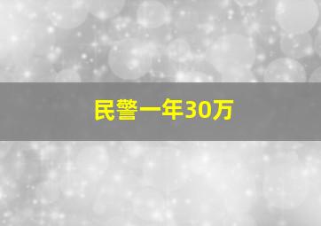 民警一年30万