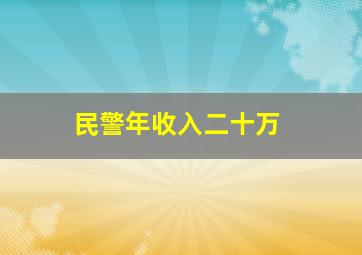 民警年收入二十万