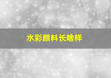 水彩颜料长啥样