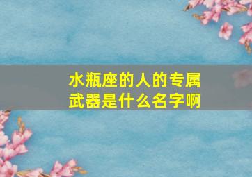 水瓶座的人的专属武器是什么名字啊