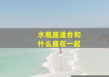 水瓶座适合和什么座在一起