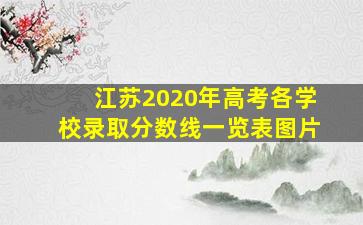 江苏2020年高考各学校录取分数线一览表图片