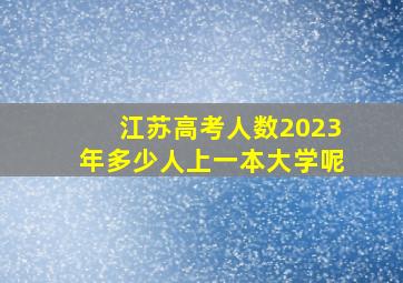 江苏高考人数2023年多少人上一本大学呢