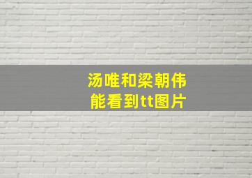 汤唯和梁朝伟能看到tt图片