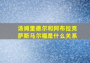 汤姆里德尔和阿布拉克萨斯马尔福是什么关系