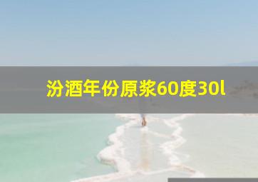 汾酒年份原浆60度30l