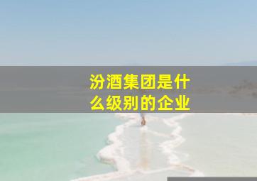 汾酒集团是什么级别的企业