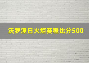 沃罗涅日火炬赛程比分500