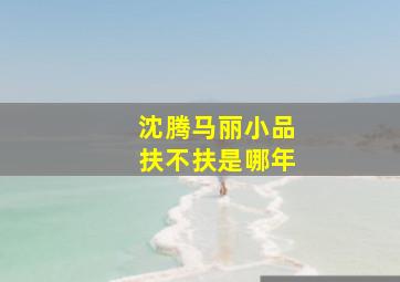 沈腾马丽小品扶不扶是哪年