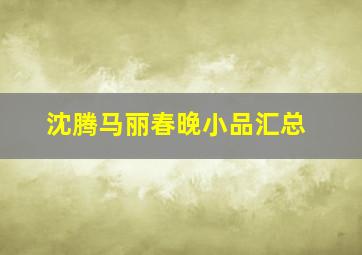 沈腾马丽春晚小品汇总