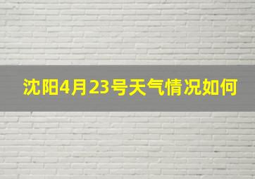 沈阳4月23号天气情况如何