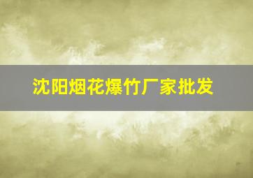 沈阳烟花爆竹厂家批发