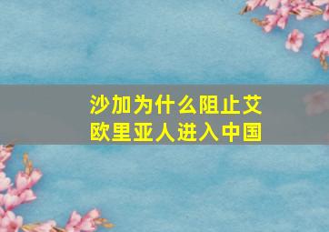 沙加为什么阻止艾欧里亚人进入中国