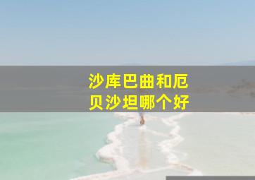 沙库巴曲和厄贝沙坦哪个好