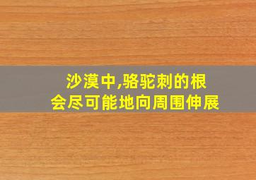 沙漠中,骆驼刺的根会尽可能地向周围伸展