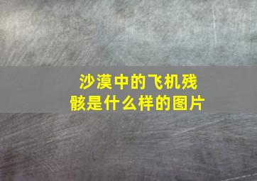 沙漠中的飞机残骸是什么样的图片