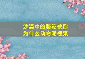 沙漠中的骆驼被称为什么动物呢视频