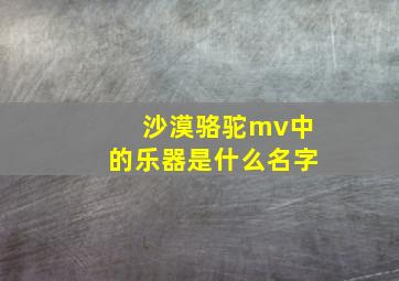 沙漠骆驼mv中的乐器是什么名字