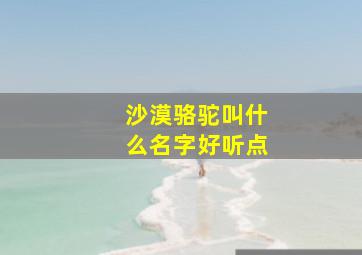 沙漠骆驼叫什么名字好听点