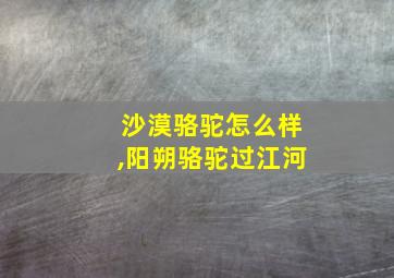 沙漠骆驼怎么样,阳朔骆驼过江河