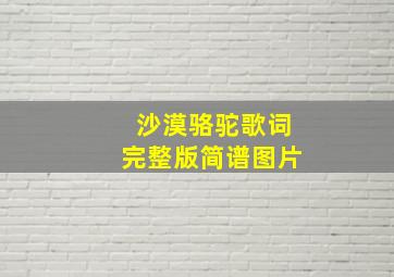 沙漠骆驼歌词完整版简谱图片