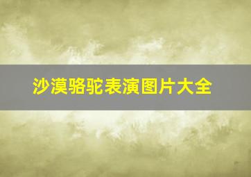 沙漠骆驼表演图片大全