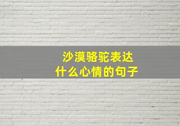 沙漠骆驼表达什么心情的句子