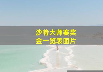 沙特大师赛奖金一览表图片