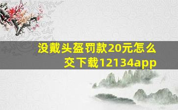 没戴头盔罚款20元怎么交下载12134app