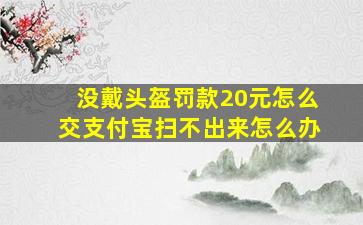 没戴头盔罚款20元怎么交支付宝扫不出来怎么办