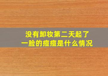 没有卸妆第二天起了一脸的痘痘是什么情况