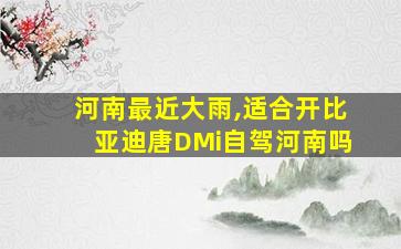 河南最近大雨,适合开比亚迪唐DMi自驾河南吗