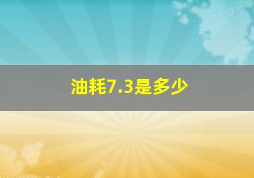 油耗7.3是多少