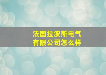 法国拉波斯电气有限公司怎么样