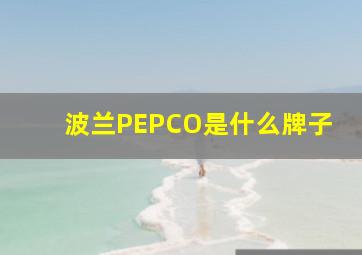 波兰PEPCO是什么牌子