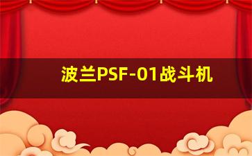 波兰PSF-01战斗机