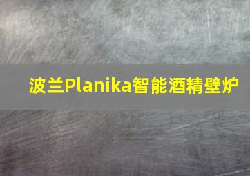 波兰Planika智能酒精壁炉