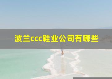 波兰ccc鞋业公司有哪些