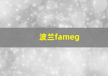 波兰fameg