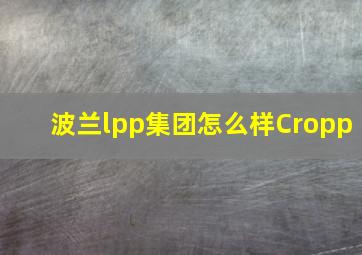 波兰lpp集团怎么样Cropp