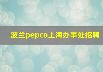 波兰pepco上海办事处招聘