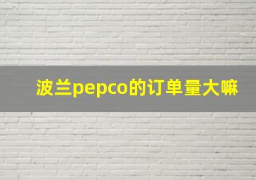 波兰pepco的订单量大嘛