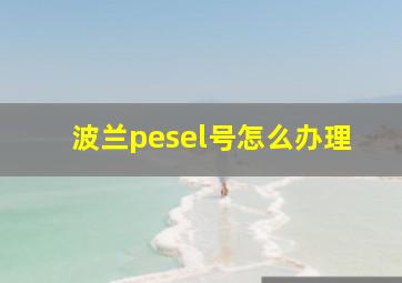 波兰pesel号怎么办理