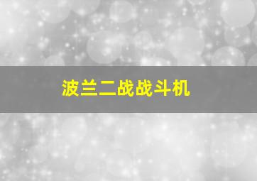 波兰二战战斗机