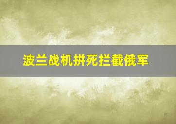 波兰战机拼死拦截俄军