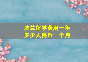 波兰留学费用一年多少人民币一个月