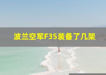 波兰空军F35装备了几架