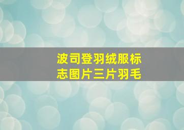 波司登羽绒服标志图片三片羽毛