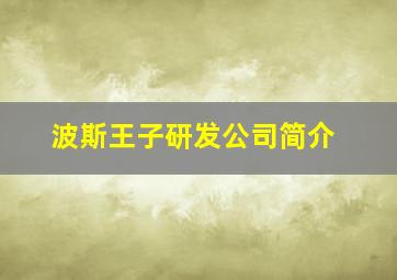 波斯王子研发公司简介